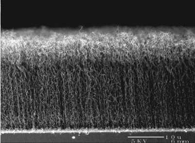 碳纳米管负极材料（扫描电镜SEM）
