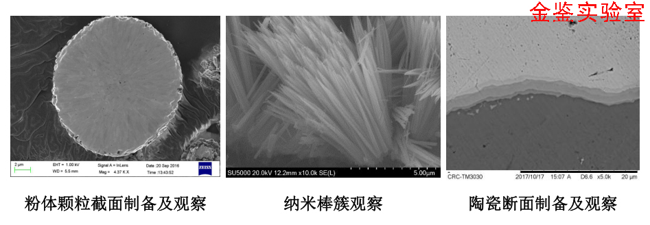 氩离子截面抛光+SEM