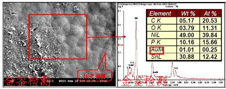 断裂面PCB焊盘表面SEM&EDS图