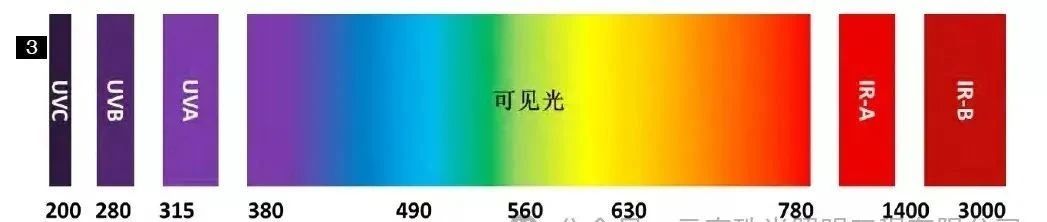000003.jpg